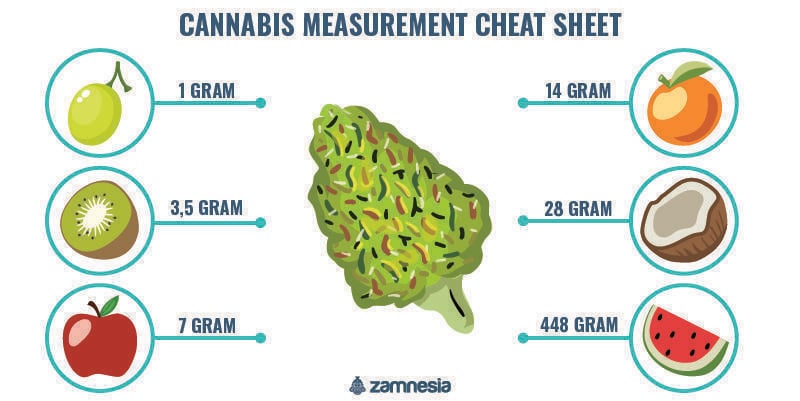 4 Ways To Measure Weed Without Scales - Zamnesia